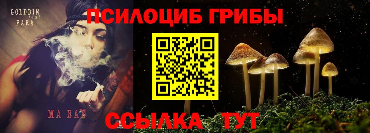 Псилоцибиновые грибы MAGIC MUSHROOMS Мыски